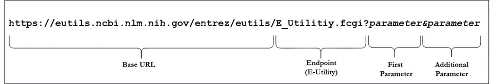 Parts of the Entrez API Query